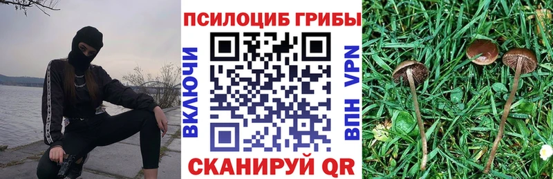 Галлюциногенные грибы Cubensis  Шиханы 